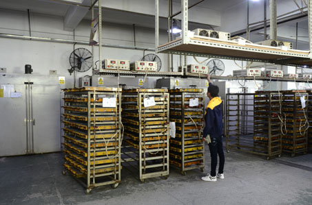 Factory